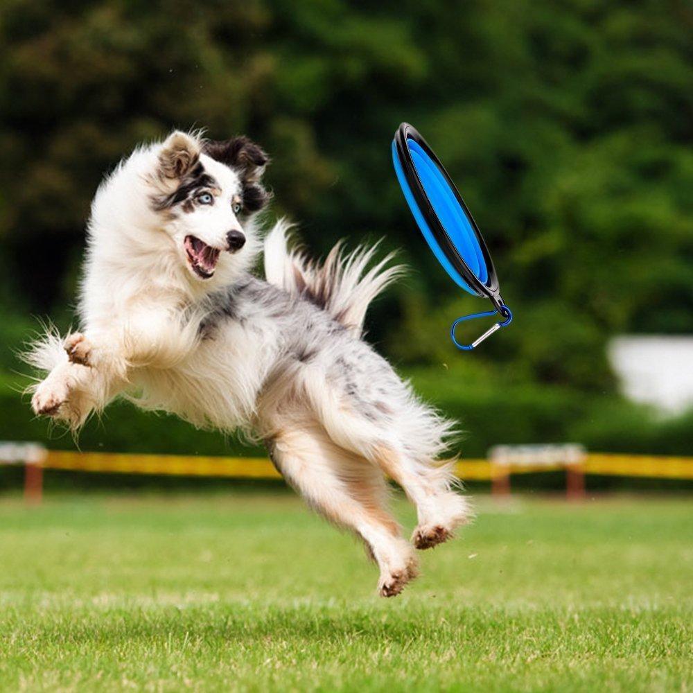 2 in 1 Dog Drinking Water Bottle with Bowls - VirtuousWares:Global