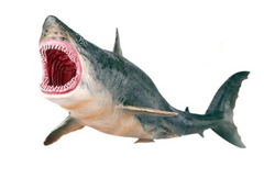 High Quality Megalodon Prehistoric Shark Model Figure Toy