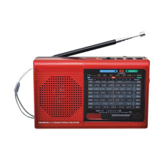 9 Band Radio With Bluetooth - VirtuousWares:Global