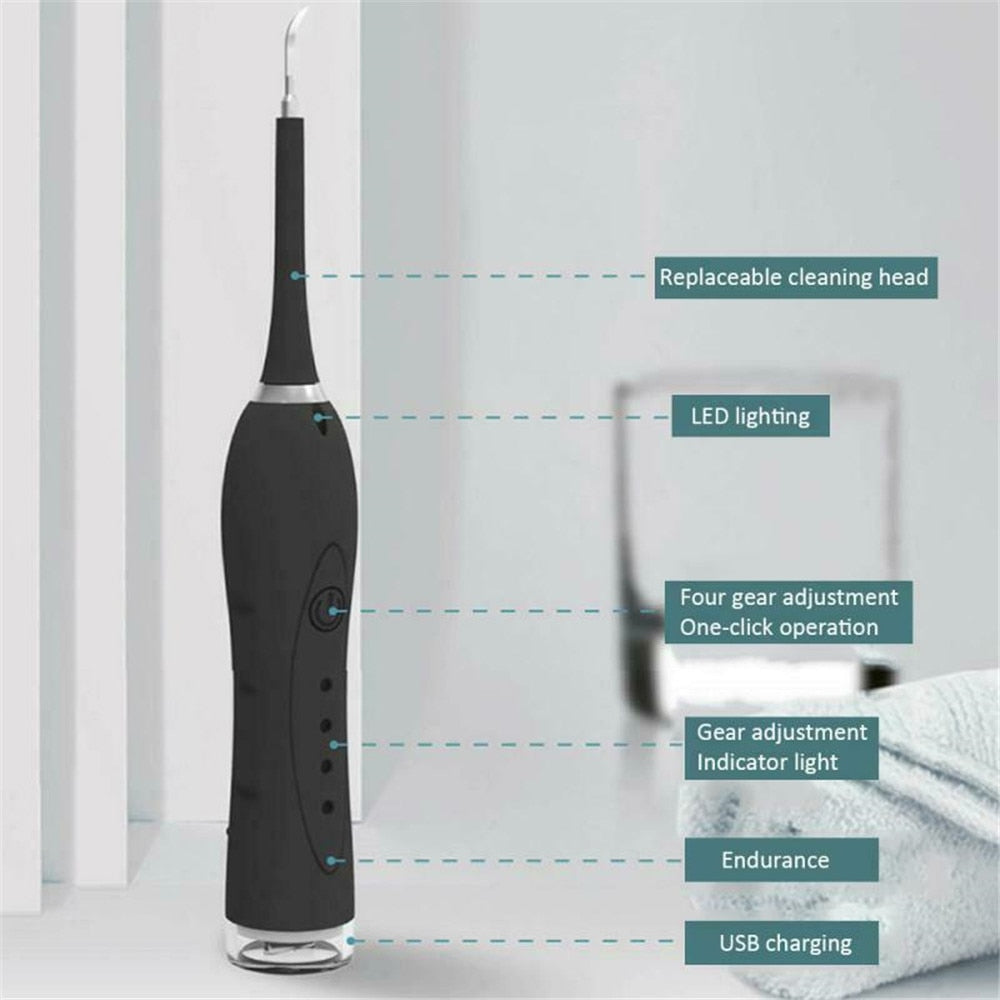 2 in 1 Sonic Dental Scaler Electric Toothbrush USB Rechargeable Tooth