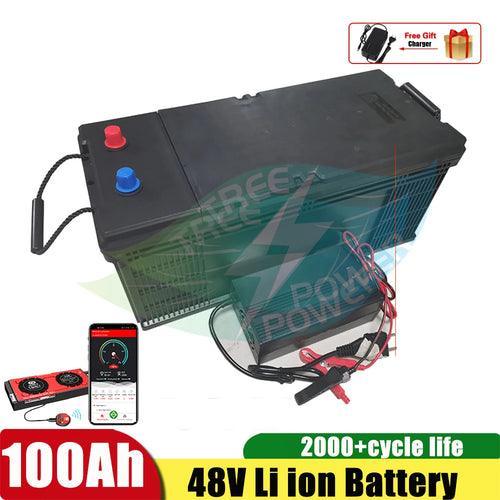 Lithium Ion Battery 48V 100AH Li Ion Battery With BMS for 4000W