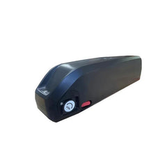Hailong electric bicycle polyester DP-9, BMS 18650 battery, 1000W