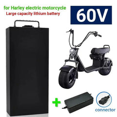 Harley Electric Car Lithium Battery 18650 Battery 60V 50Ah for Two