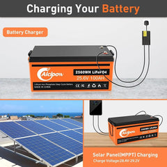 US In Stock  Lifepo4 24v 100ah LFP Lithium Ion Battery Pack For