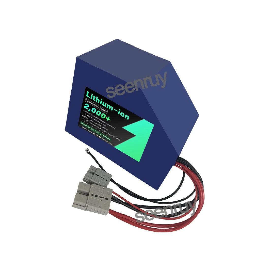 72V 30Ah Li-ion With Charger 170A Lithium Polymer Battery Pack Perfect