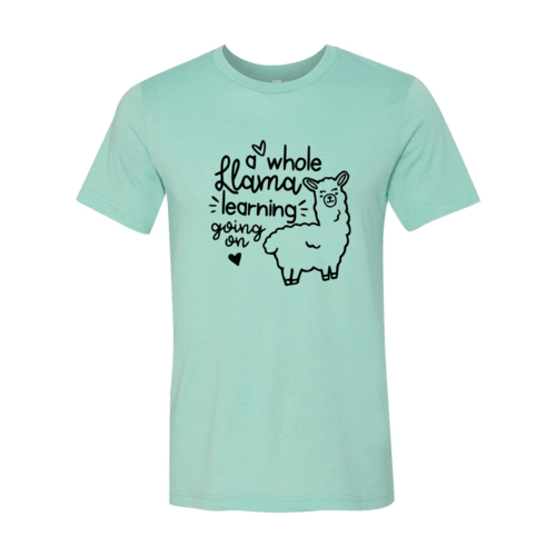 A Whole Llama Learning Going On Shirt - VirtuousWares:Global