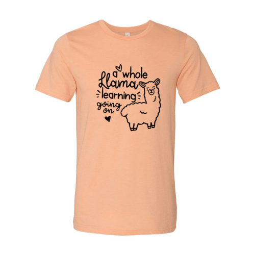 A Whole Llama Learning Going On Shirt - VirtuousWares:Global