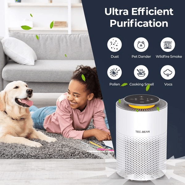 Air Purifiers for Home with Adjustable Night Light - VirtuousWares:Global