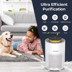 Air Purifiers for Home with Adjustable Night Light - VirtuousWares:Global