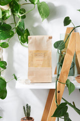 All Natural Dishwasher Soap / Organic Dishwasher / Dish Soap / Butter - VirtuousWares:Global