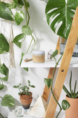 All Natural Organic Whitening Toothpaste / Remineralizing Toothpaste - VirtuousWares:Global