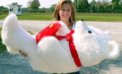 American Made Giant White Teddy Bear Holding I Love You Heart Pillow - VirtuousWares:Global