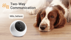 Apollo Pet Monitoring Camera - White, AI Detection, Night Vision - VirtuousWares:Global