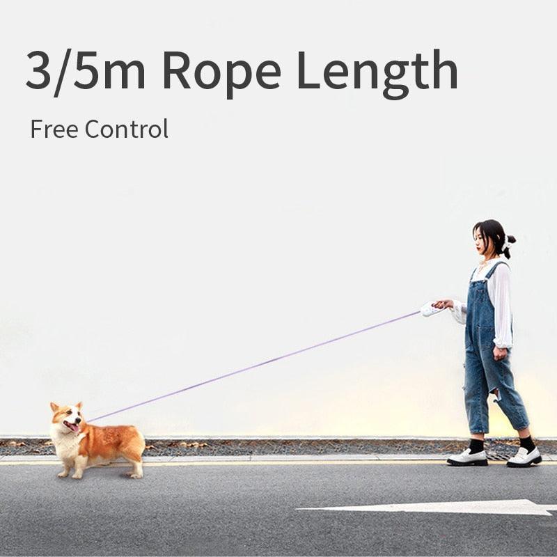 Automatic Retractable Lighting Dog Leash - VirtuousWares:Global