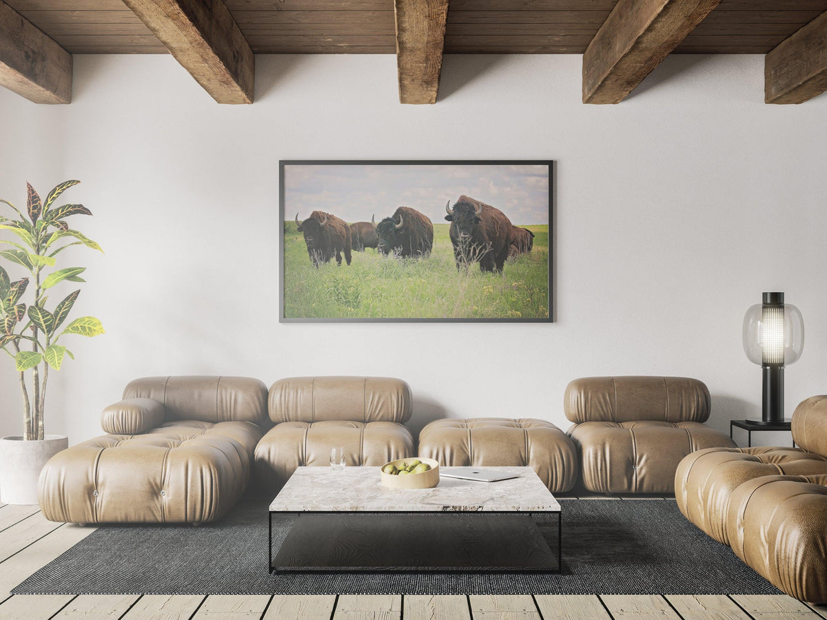 Canvas: Bison (color) - VirtuousWares:Global