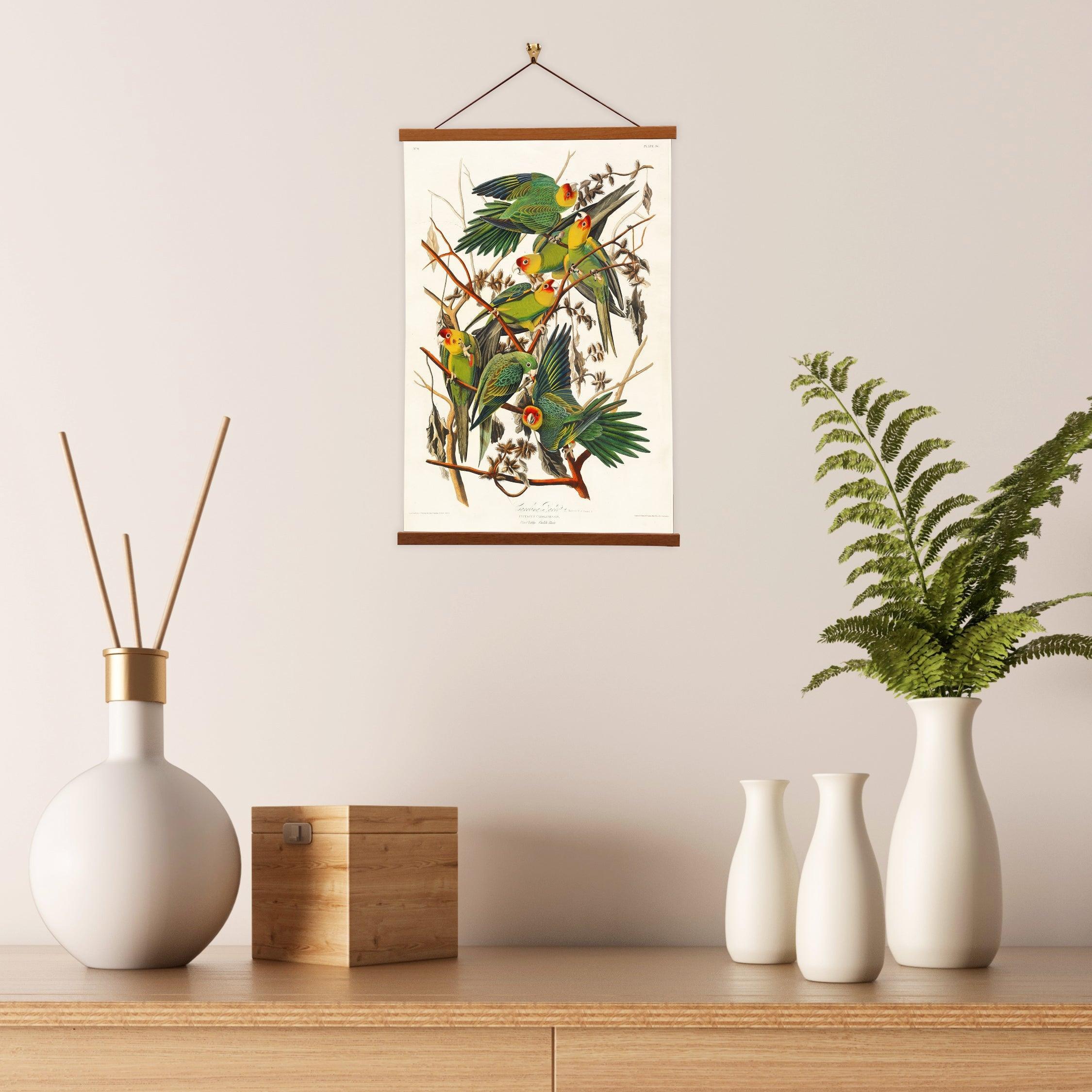 Carolina Parrot by John James Audubon - VirtuousWares:Global