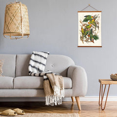 Carolina Parrot by John James Audubon - VirtuousWares:Global