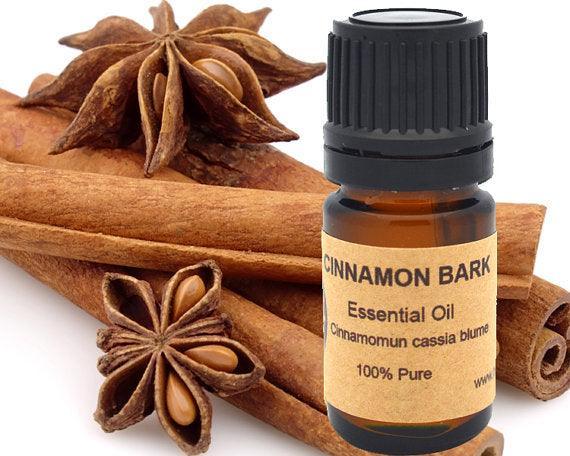 Cinnamon Bark Essential Oil 15 ml - VirtuousWares:Global