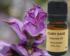 Clary Sage Essential Oil 15 ml - VirtuousWares:Global