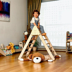 Climbing Triangle and Ladder Ramp - VirtuousWares:Global