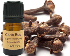 Clove Bud Essential Oil 15ml - VirtuousWares:Global