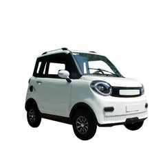 Customized electric four-wheeled vehicle, adult home old man, le scooter, lady pick-up and drop-off children, 4-wheel multi - VirtuousWares:Global