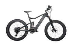 DENGFU New Electric bike frame E-06 with M620 G510 1000W 48V Motor frameset for hot sell Complete electric Bikes - VirtuousWares:Global