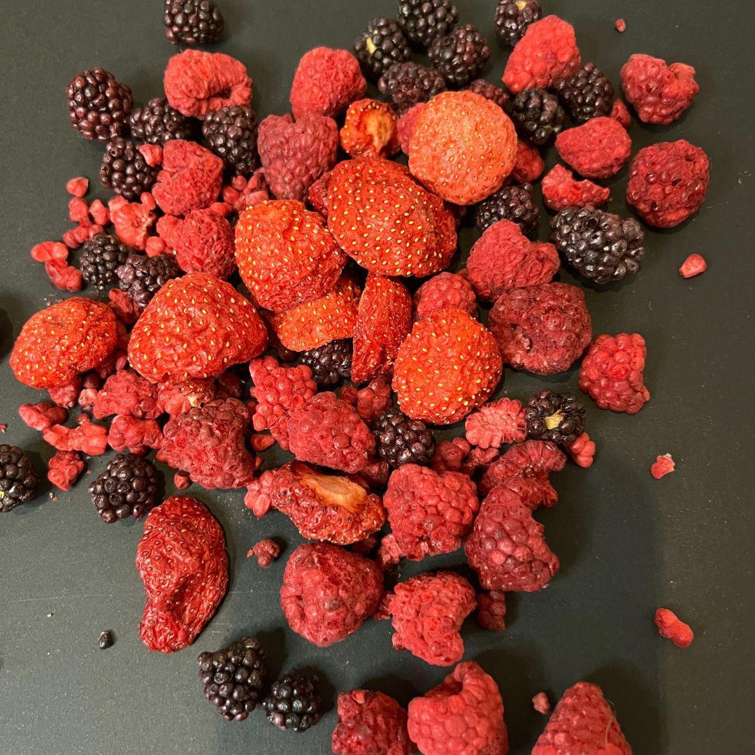 Freeze dried BIO Berries Mix - VirtuousWares:Global