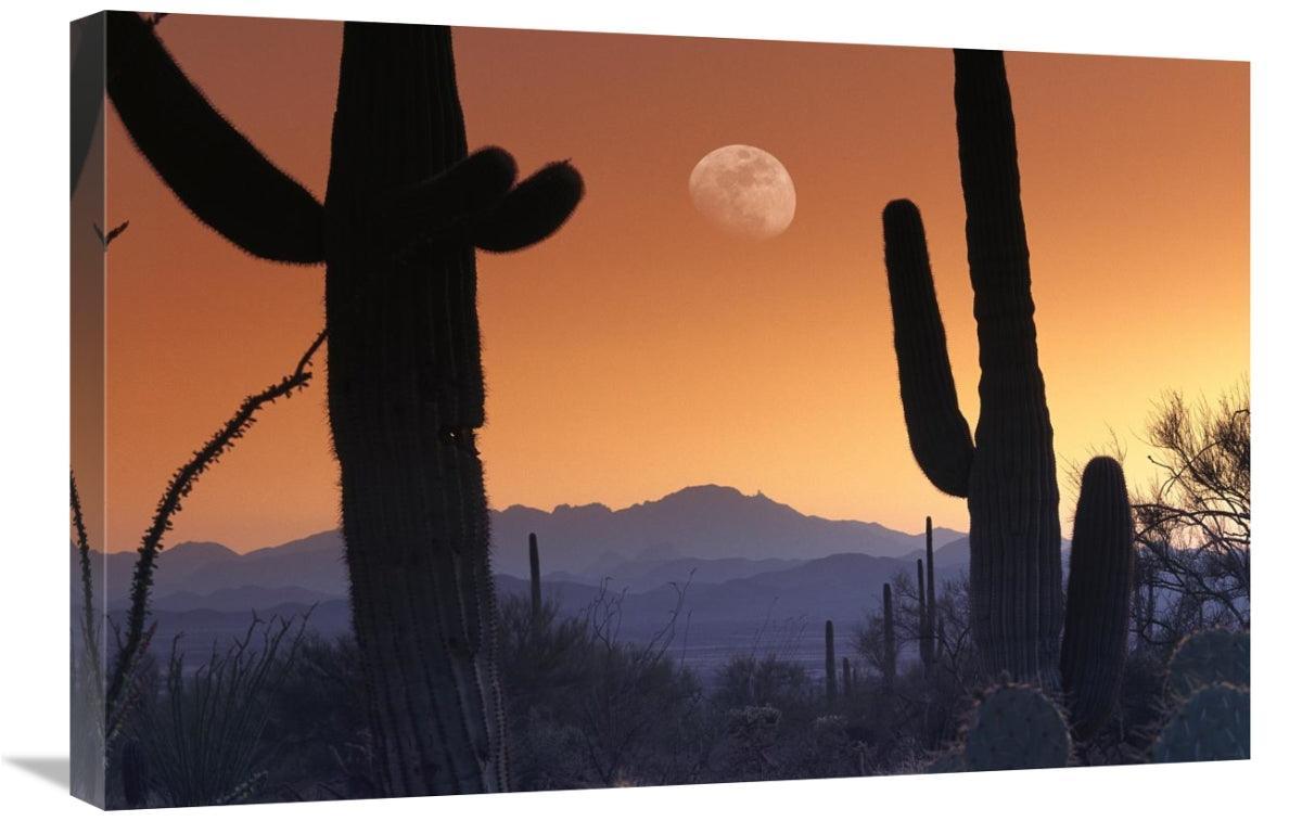 Global Gallery GCS-396538-2030-142 20 x 30 in. Kitt Peak Under Moon Fr - VirtuousWares:Global