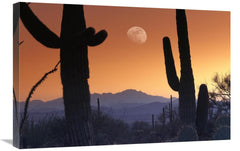 Global Gallery GCS-396538-2030-142 20 x 30 in. Kitt Peak Under Moon Fr - VirtuousWares:Global