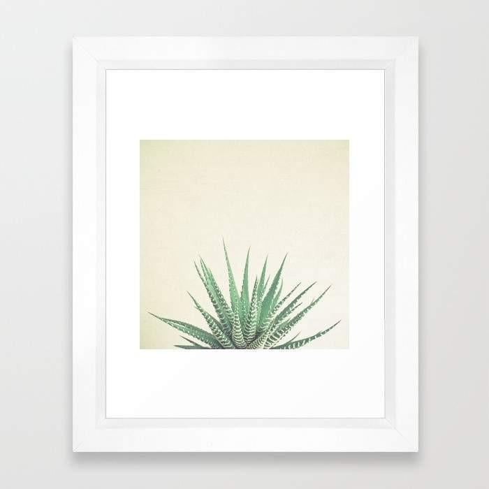 Haworthia - VirtuousWares:Global