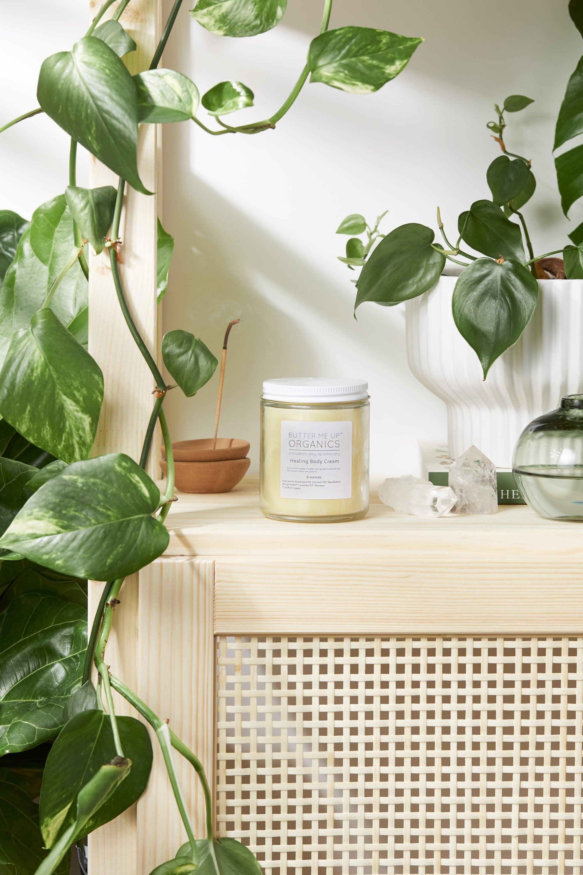 Healing Body Cream / organic body lotion / winter skin / dry skin / - VirtuousWares:Global
