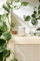 Healing Body Cream / organic body lotion / winter skin / dry skin / - VirtuousWares:Global