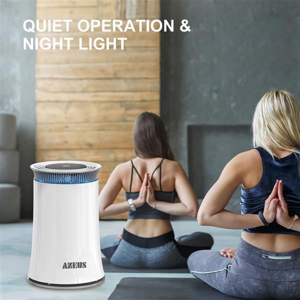 High CADR Air Purifier Ozone-Free - VirtuousWares:Global