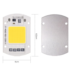 LED Floodlight 100W 220V Cool White COB Chip Lamp - VirtuousWares:Global