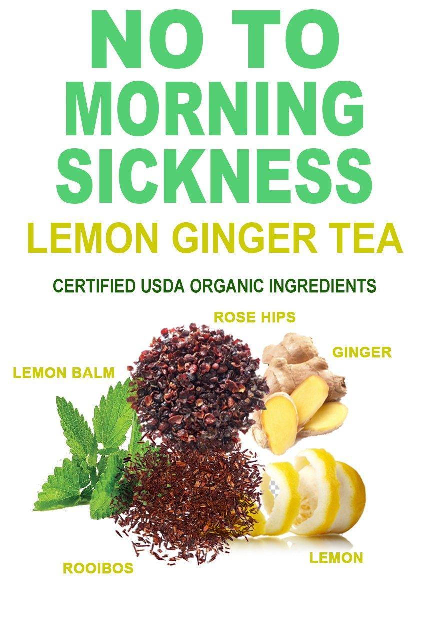 Lemon Ginger Herbal Tea Blend: 40 Cups - VirtuousWares:Global