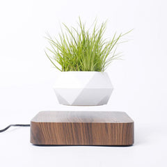 Levitating Air Bonsai Pot Flower Pot Planters Magnetic Suspension Pot - VirtuousWares:Global