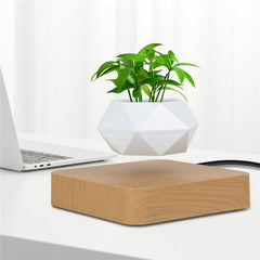 Levitating Air Bonsai Pot Flower Pot Planters Magnetic Suspension Pot - VirtuousWares:Global