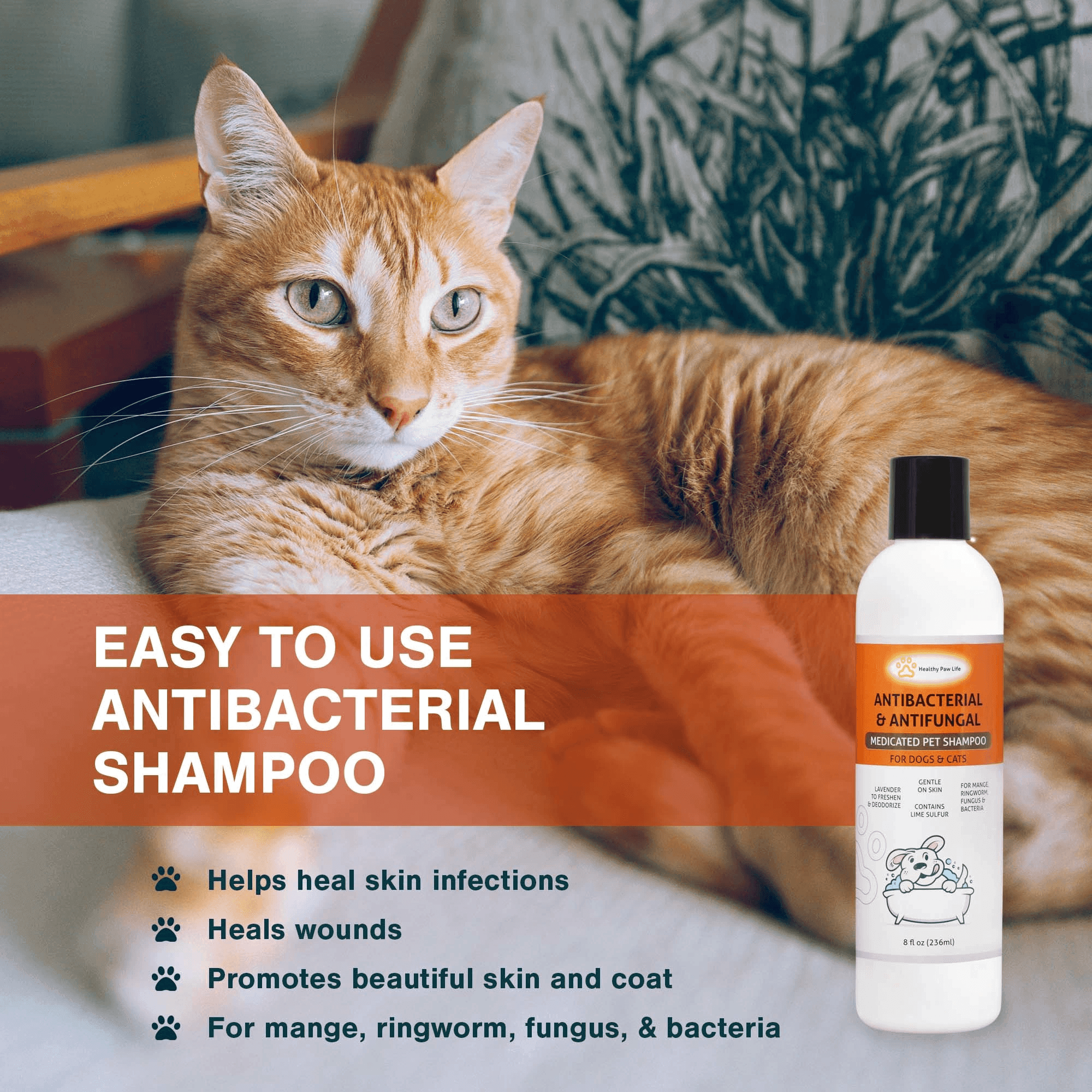 Lime Sulfur Pet Shampoo Pet Care and Veterinary Solution Safe for Pet - VirtuousWares:Global