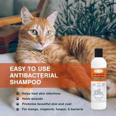 Lime Sulfur Pet Shampoo Pet Care and Veterinary Solution Safe for Pet - VirtuousWares:Global