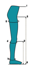 Medical Stockings Pantyhose K1 varicose veins Art. 631 - VirtuousWares:Global