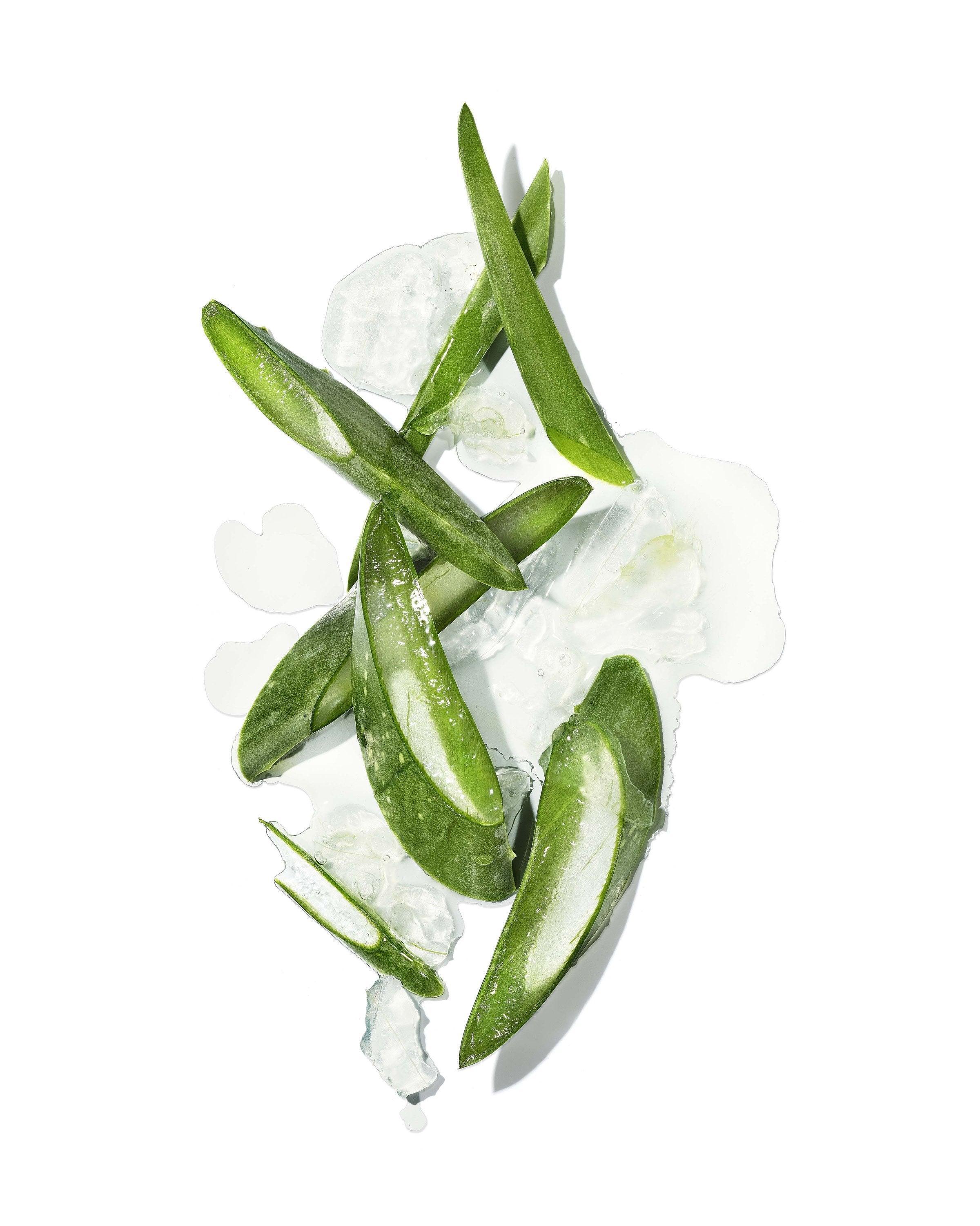 Mekabu Hydrating Conditioner - VirtuousWares:Global