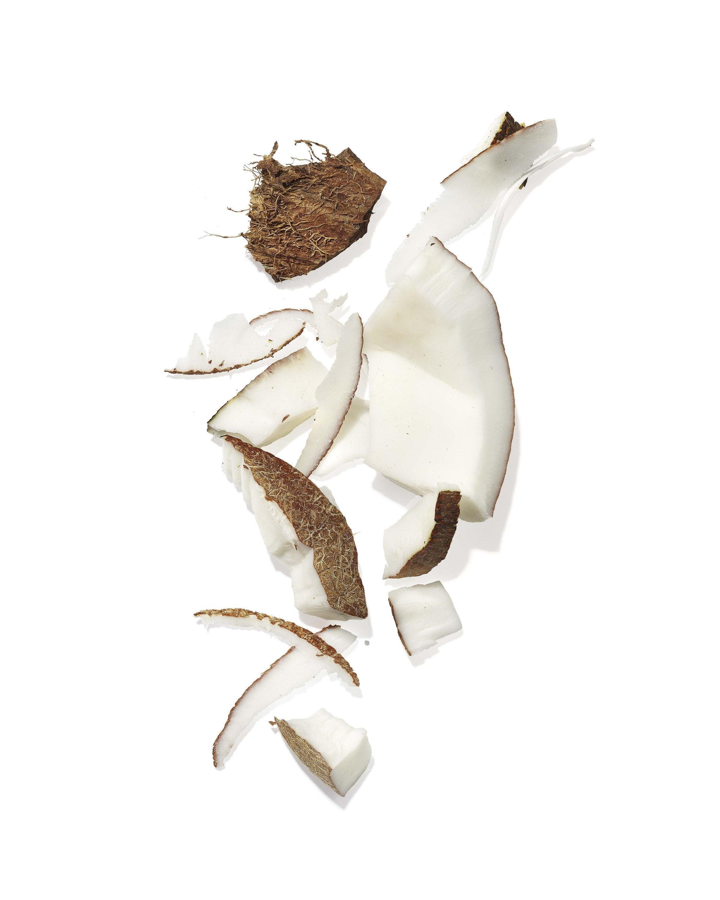 Mekabu Hydrating Salon Size Shampoo - VirtuousWares:Global