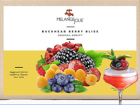 Mélange Jolie Buckhead Berry Bliss Cocktail SipKit™ (Case of Six) - VirtuousWares:Global