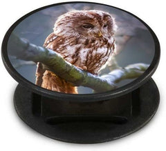 Moonlit Owl Nuckees - VirtuousWares:Global