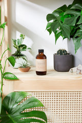 Natural Aged After Shave / Cologne Organic Bay Woodsy / Men’s Natural - VirtuousWares:Global