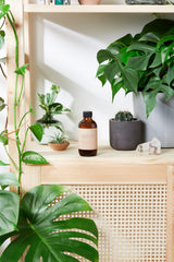Natural Aged After Shave / Cologne Organic Bay Woodsy / Men’s Natural - VirtuousWares:Global