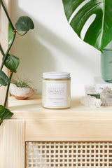 Natural Organic Sunscreen / Safe Sunscreen / Non-Nano Zinc Oxide - VirtuousWares:Global