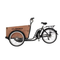 New hot selling Nanyang Family cargo tricycle electric cargo bike - VirtuousWares:Global