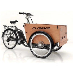 New hot selling Nanyang Family cargo tricycle electric cargo bike - VirtuousWares:Global